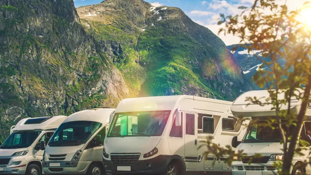 Travel and Tour