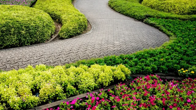 Home Decor and Garden